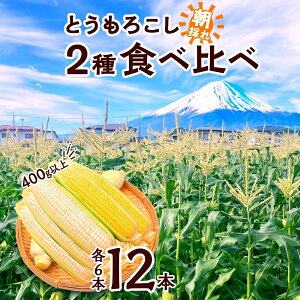 yӂ邳Ɣ[Łz 2026Ns\ Ƃ낱 CG[  zCg 2 Hה bS[h b 400gȏ e6{ v12{   { Yn  Γ؏oבg 