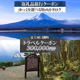 【ふるさと納税】 富士河口湖町 後から選べる旅行Webカタログで使える！ 旅行クーポン（300,000円分） 旅行券 宿泊券 FEO004
