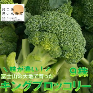 yӂ邳Ɣ[Łz 26Ns\񁄁yʌzłIxmȒnłLOubR[9 ӂ邳Ɣ[ ^X  lC Ԍ R xm͌Β 