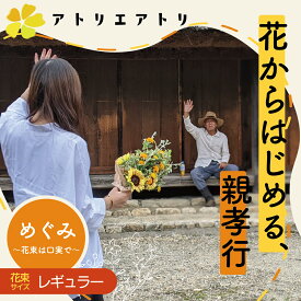 【ふるさと納税】 花から始める親孝行［めぐみ］お花サイズレギュラー FAF001