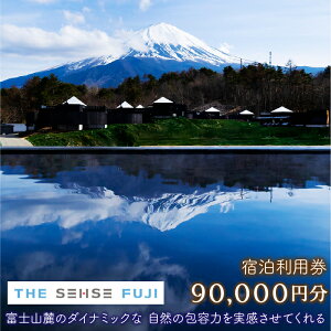 yӂ邳Ɣ[Łz THE SENSE FUJI@hp(90,000~) ӂ邳Ɣ[ lC  LO  xmR h s   `Pbg R  FAC012