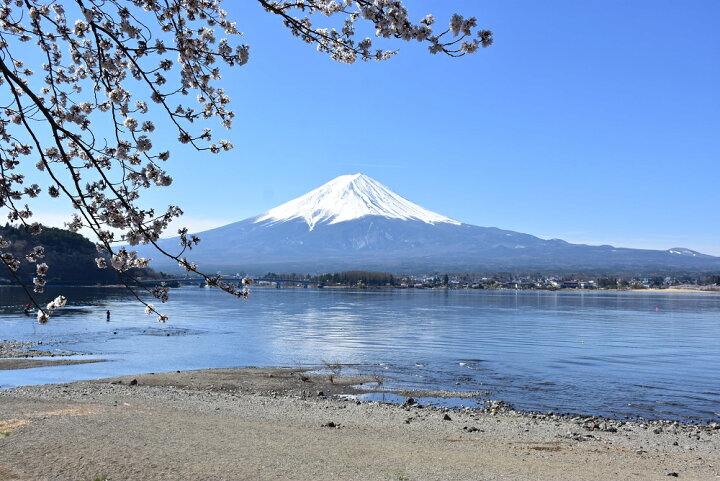 楽天市場 ふるさと納税 河口湖畔の音楽ホール 河口湖円形ホール ホール1日貸し切り ベーゼンドルファーピアノ使用権付き 山梨県富士河口湖町