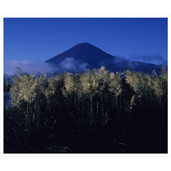 楽天市場 ふるさと納税 富士山写真大賞 額装写真 初秋の詩 河口湖大石公園 全紙 額装サイズ約530 640mm 山梨県富士河口湖町