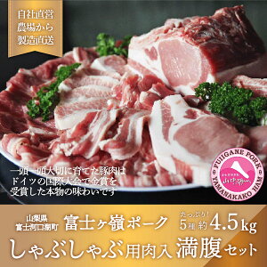 yӂ邳Ɣ[Łz xm|[NԂԗp薞Zbg d4.5kg FAB026