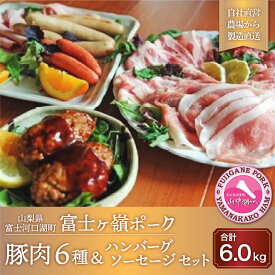 【ふるさと納税】 【豚肉6種＆ハンバーグ・ソーセージセット】合計6kg FAB021