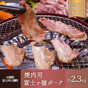 yӂ邳Ɣ[Łz xmP|[NyēpZbgzdʖ2.3kg FAB019