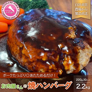 yӂ邳Ɣ[Łz ̏ăno[O f~\[Xi10pbN20jv2.2kg FAB008