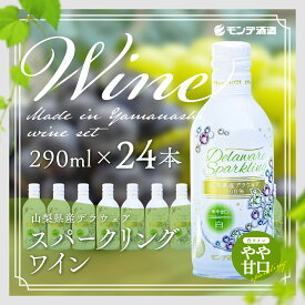 【ふるさと納税】 山梨県産デラウェアスパークリングワイン24本（山梨県産デラウェア種使用/白ワイン/やや甘口） FAE008