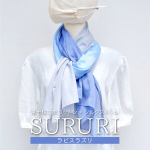 yӂ邳Ɣ[ŁzxmH[Rbg×VNXg[ SURURI (sXY)XƊ悤ȃTTI FAA4039