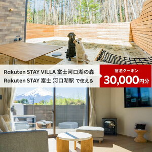 yӂ邳Ɣ[Łz Rakuten STAY VILLA xm͌΂̐X/ Rakuten STAY xm ͌Ήw@ʏhN[|30,000~ ӂ邳Ɣ[ xmR ][g B TEi lH BBQ s N[| h R 