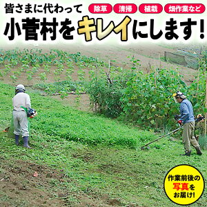 【ふるさと納税】ふるさと小菅をきれいに!除草、清掃等サービス