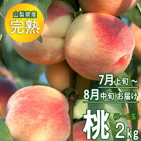 楽天市場 ふるさと納税 桃 フルーツ 果物 食品の通販