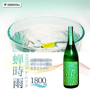 yӂ邳Ɣ[Łz yʌzGEEKSTILL NtgW 䎞J OgRY{^jJ Iׂe 1100ml/1800ml ꏡr GIN W NtgW Y {^jJ    ƈ ӎ Mt