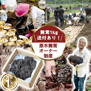 �y�ӂ邳�Ɣ[�Łz�y��s�\��z�y������1kg�t���̑̌��C�x���g�z2026�N�����I�[�i�[���x�����Â���̌�