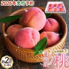【ふるさと納税】 朝もぎ直送！ 桃 白桃系 5～8玉 光センサー 選別 / 甘い 山梨県産 厳選 贈答 高級