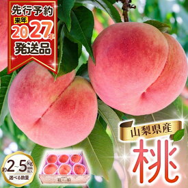 【ふるさと納税】【2027年出荷分 先行予約】 朝もぎ直送!『山梨県産　桃』選べる容量 約2kg・5kg規格箱入り 白鳳 白桃 【高機能共選機使用】選び抜かれた桃《もも 先行予約》 山梨県産 モモ/ フルーツ 果物 くだもの 甘い 人気 産地直送/厳選 贈答 贈り物