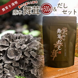 【ふるさと納税】【先行予約】【2025年秋発送】丹波山村産原木舞茸500g+舞茸だし(8g x6袋)セット 2025年9月下旬より順次発送予定