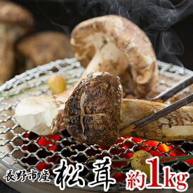 楽天市場 松茸 長野 食品 の通販 楽天市場 松茸 長野 食品 の通販