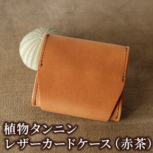 yӂ邳Ɣ[ŁzA^jU[̃RCP[X(Ԓ) v[g  IV j Mtg t@bV vi K