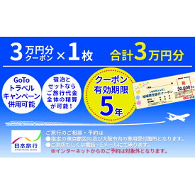 【ふるさと納税】日本旅行　地域限定旅行クーポン【30，000円分】　【旅行・チケット・旅行・宿泊券】