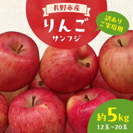 【ふるさと納税】長野市産 訳あり 規格外 りんご サンフジ約5kg 12玉～20玉 家庭用 ※配送不可地域あり 果物類 林檎 リンゴ サンふじ フルーツ 　お届け：2025年12月上旬～2026年2月下旬