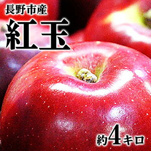 yӂ邳Ɣ[Łzy2025N9`10 s\zsY@gʁ@4L ʕ ь  S 4kg t[c @͂F2025N9{菇