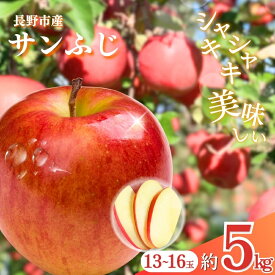 【ふるさと納税】長野市産 サンふじ 約5kg(13～16玉） 果物 フルーツ りんご リンゴ 　お届け：2025年12月～2026年2月15日