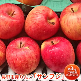 【ふるさと納税】長野市産りんご 訳あり サンフジ 約3kg　ご家庭用(7～12玉入り)※配送不可地域あり 果物類 林檎 リンゴ ギフト ふじ　お届け：2025年11月下旬～2026年2月末日