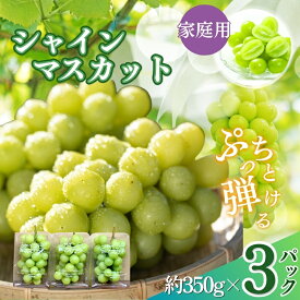 【ふるさと納税】2026年産先行予約【農家応援企画！！】シャインマスカット家庭用3パック（約350g×3）※オンライン決済限定 果物 ぶどう フルーツ 食後 デザート 　お届け：2026年9月上旬～11月上旬