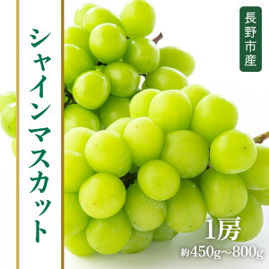 yӂ邳Ɣ[Łzy2025N9{菇 s\zsYVC}XJbg 1[@450g`800gx ʕ Ԃǂ t[c fU[g H  쌧Y 햳 炲   