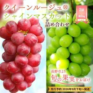 yӂ邳Ɣ[ŁzԂǂ s\ sY NC[[W? VC}XJbg 2[ 1kg lߍ킹 Zbg y Hה  uhE ʕ t[c fU[g  MB x 