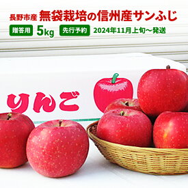 【ふるさと納税】先行予約 長野市産無袋栽培の信州産サンふじ5kg（贈答用）2024年発送　【 果物 フルーツ デザート 食後 おやつ 果汁豊富 甘み 酸味 バランス 歯ごたえ 長野県産 信州のリンゴ 】　お届け：2024年11月上旬～12月上旬