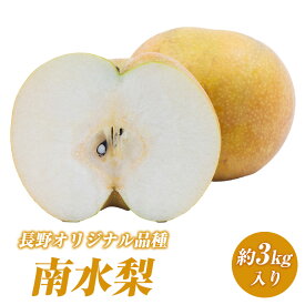 【ふるさと納税】2026年産 先行予約 長野オリジナル品種 南水梨 約3kg入り 2026年発送 果物 フルーツ デザート 食後 長野県産 信州 和梨 ジューシー 硬い 新品種 シャキシャキ 　お届け：2026年9月下旬～11月上旬