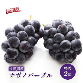 【ふるさと納税】2026年産先行予約 ぶどう 先行予約 長野市産 ナガノパープル 特秀 2房 果物 ブドウ 葡萄 フルーツ デザート おやつ 種なし 大粒 信州 2026年秋発送　お届け：2026年9月上旬～10月下旬