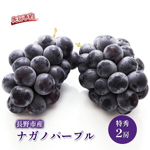 yӂ邳Ɣ[Łz2026NYs\ Ԃǂ s\ sY iKmp[v G 2[ ʕ uhE  t[c fU[g  Ȃ 嗱 MB 2026NH@͂F2026N9{`10