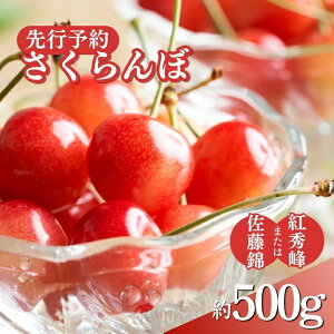 yӂ邳Ɣ[Łzs\  500g@2025N6`7{ICό ʕ t[c fU[g `F[  gG @͂F2026N6{`7{