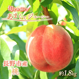 �y�ӂ邳�Ɣ[�Łz��s�\�� �� ��1.8kg 2025�N7�����{��菇������ �I�����C�����ό��� ���� ���� ���� �t���[�c �ʕ� �������� ������ �쒆�����P �쒆������ �{�̃t���[�c �f�U�[�g ���� �M