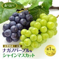 楽天市場】ナガノパープルの通販 