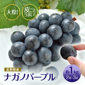 �y�ӂ邳�Ɣ[�Łz2026�N�Y��s�\��Ԃǂ� ��s�\�� ����s�Y �i�K�m�p�[�v�� �炲�Ƃ��܂��I �嗱2�`3�[ ��1kg �ʕ� �u�h�E ���� �t���[�c �f�U�[�g ����� ��Ȃ� �嗱 �M�B �@���͂��F2026�N9