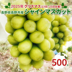 yӂ邳Ɣ[Łzy2025NX}Xi23`25Kjz쌧sYVC}XJbg500g ʕ Ԃǂ t[c fU[g  H MB̂Ԃǂ 쌧Y Ԃǂ @͂F2025