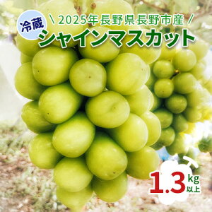 yӂ邳Ɣ[Łzy2025N쌧sYz①VC}XJbg@1.3kgȏ ʕ Ԃǂ t[c fU[g  H MB̂Ԃǂ 쌧Y Ԃǂ @͂F2025N1115`2025N