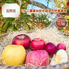 【ふるさと納税】2024年度 長野産（2025年度1～2月お届け）りんご農家お任せ詰合わせ家庭用3kg 果物 フルーツ デザート 食後 濃密 　お届け：2027年1月中旬～2月下旬