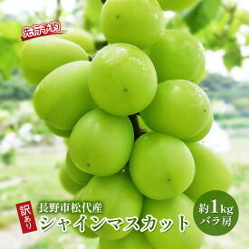 【ふるさと納税】ぶどう 先行予約 訳あり 長野市松代産 シャインマスカット 約1kg バラ房 葡萄 ブドウ フルーツ 果物 シャイン マスカット デザート おやつ TAKANO農園 信州 2025年秋発 　お届け：2026年9月下旬～10月下旬