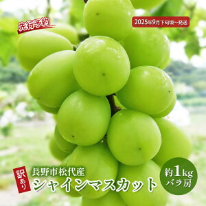 yӂ邳Ɣ[ŁzԂǂ s\ 󂠂 sY VC}XJbg 1kg o[  uhE t[c ʕ VC }XJbg fU[g  TAKANO_ MB 2025NH @͂