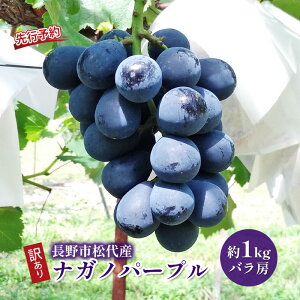 �y�ӂ邳�Ɣ[�Łz�Ԃǂ� ��s�\�� �󂠂� ����s����Y �i�K�m�p�[�v�� ��1kg �o���[ �ʕ� �u�h�E ���� �t���[�c �f�U�[�g ����� ��Ȃ� TAKANO�_�� �M�B �@���͂��F2026�N9����{�`10�����{