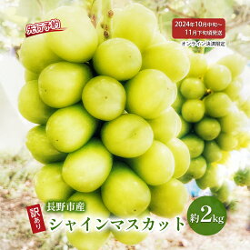 【ふるさと納税】ぶどう 先行予約 長野県産 シャインマスカット 約2kg 訳あり 葡萄 ブドウ 果物 フルーツ シャイン マスカット デザート おやつ 信州 2024年秋発送　【 長野市 】　お届け：2024年10月中旬～11月下旬