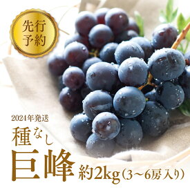 【ふるさと納税】ぶどう 先行予約 種なし 巨峰 約2kg 箱 3～6房入り 果物 ブドウ 葡萄 フルーツ デザート おやつ 信州 2024年秋発送　【 長野市 】　お届け：2024年9月上旬～下旬