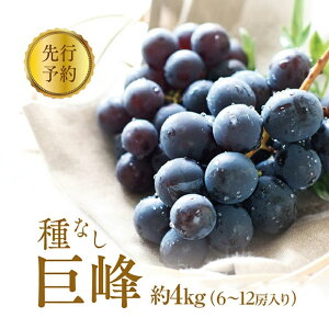 �y�ӂ邳�Ɣ[�Łz2026�N�Y��s�\��Ԃǂ� ��s�\�� ��Ȃ� ���� ��4kg 6�`12�[���� �ʕ� �u�h�E ���� �t���[�c �f�U�[�g ����� �M�B 2026�N�H���� �@���͂��F2026�N9����{�`���{