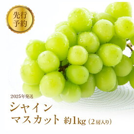 【ふるさと納税】廃盤　シャインマスカット約1kg（2房入り） 　お届け：2025年9月下旬～10月下旬