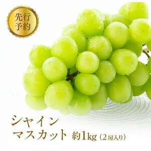 �y�ӂ邳�Ɣ[�Łz2026�N�Y��s�\�� �Ԃǂ� ��s�\�� �V���C���}�X�J�b�g ��1kg 2�[���� ���� �u�h�E �V���C�� �}�X�J�b�g �ʕ� �t���[�c �f�U�[�g ����� ��Ȃ� �M�B 2026�N�H���� �@���͂��F20